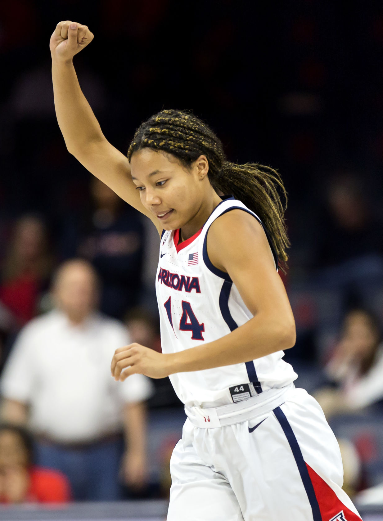 Arizona vs Tennessee State